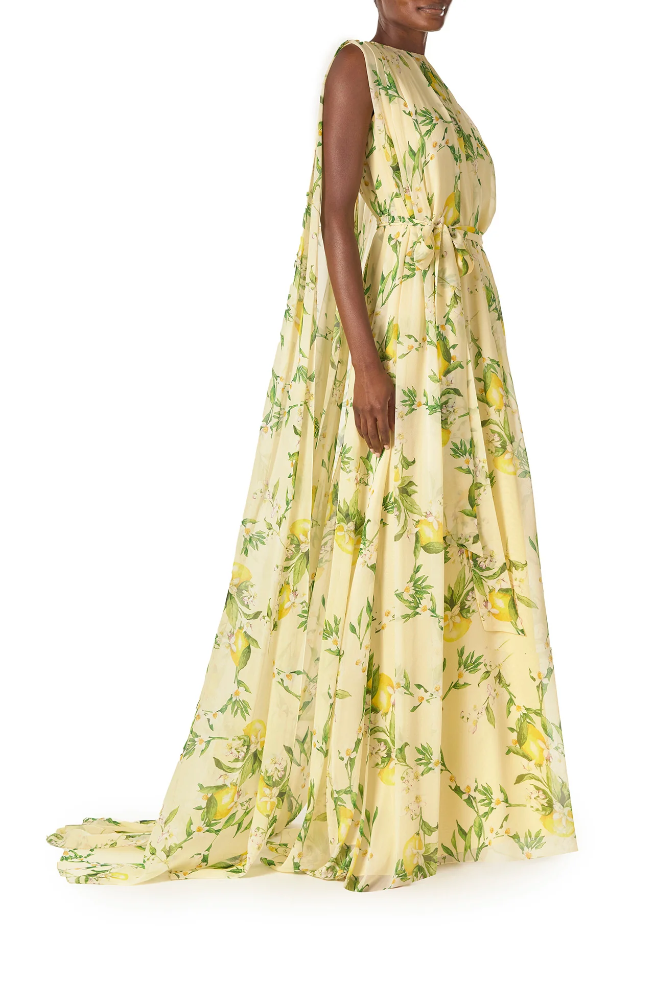Lemon Print Georgette Gown - Image 3