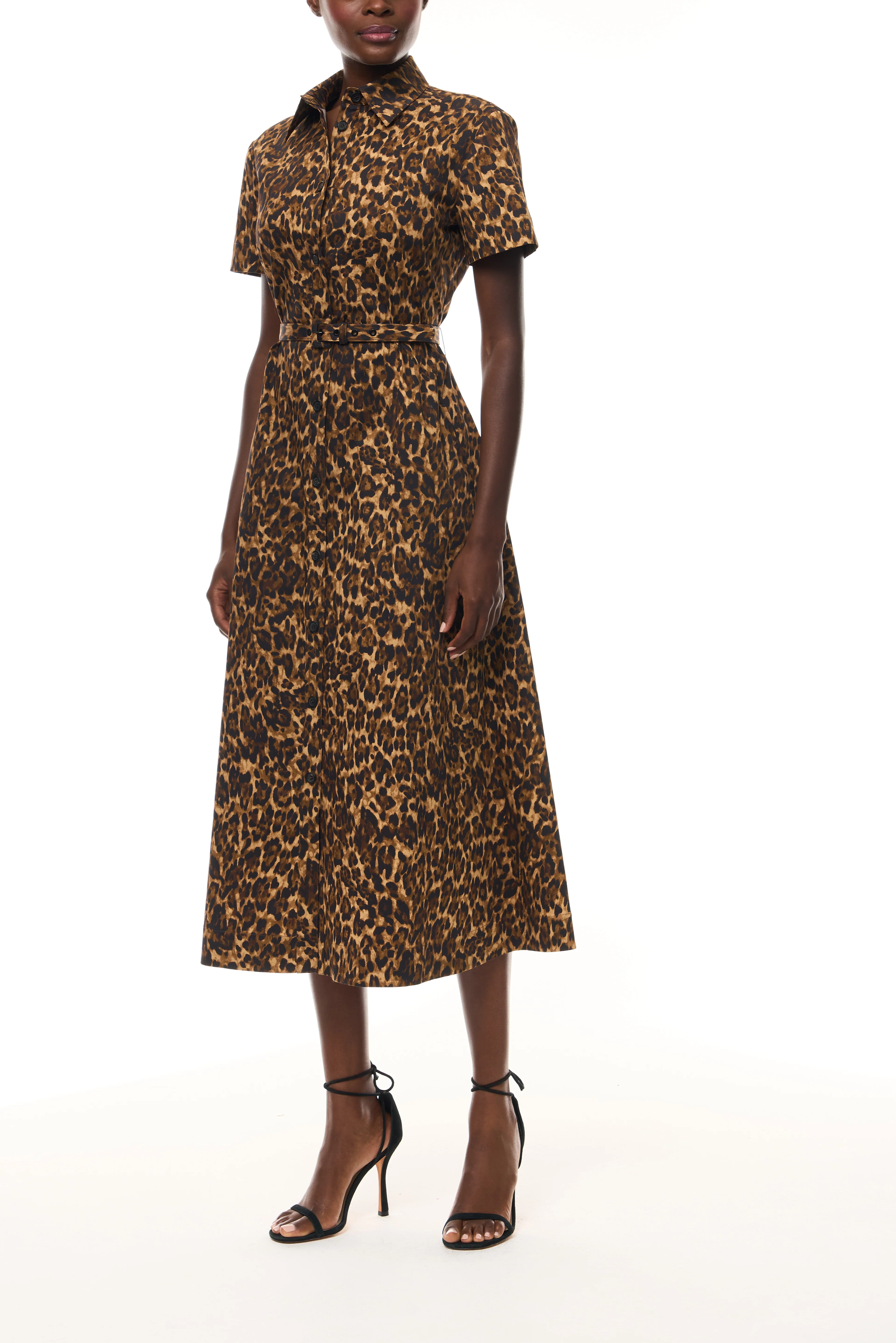 Leopard Poplin Shirt Dress - Image 3