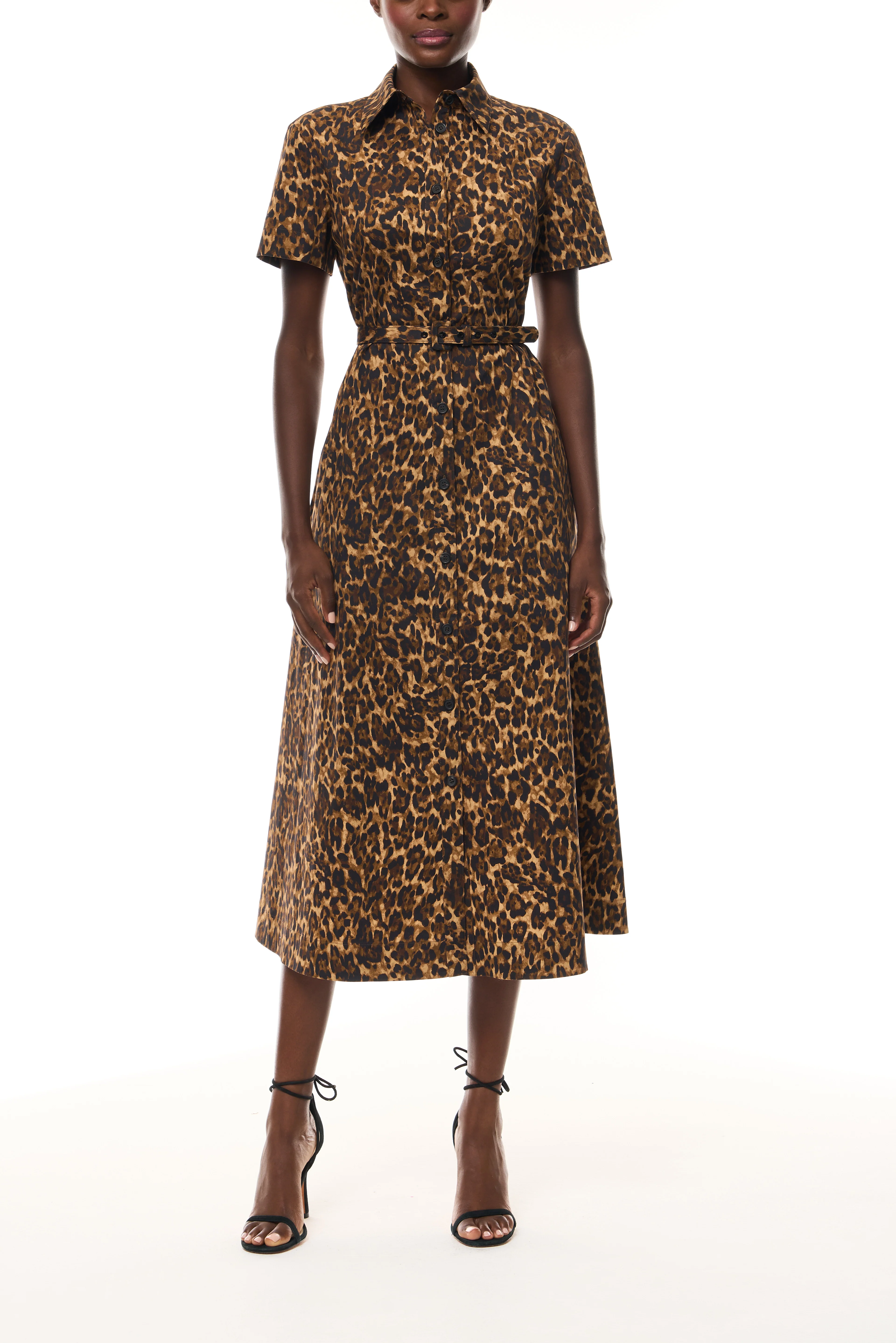 Leopard Poplin Shirt Dress - Image 4