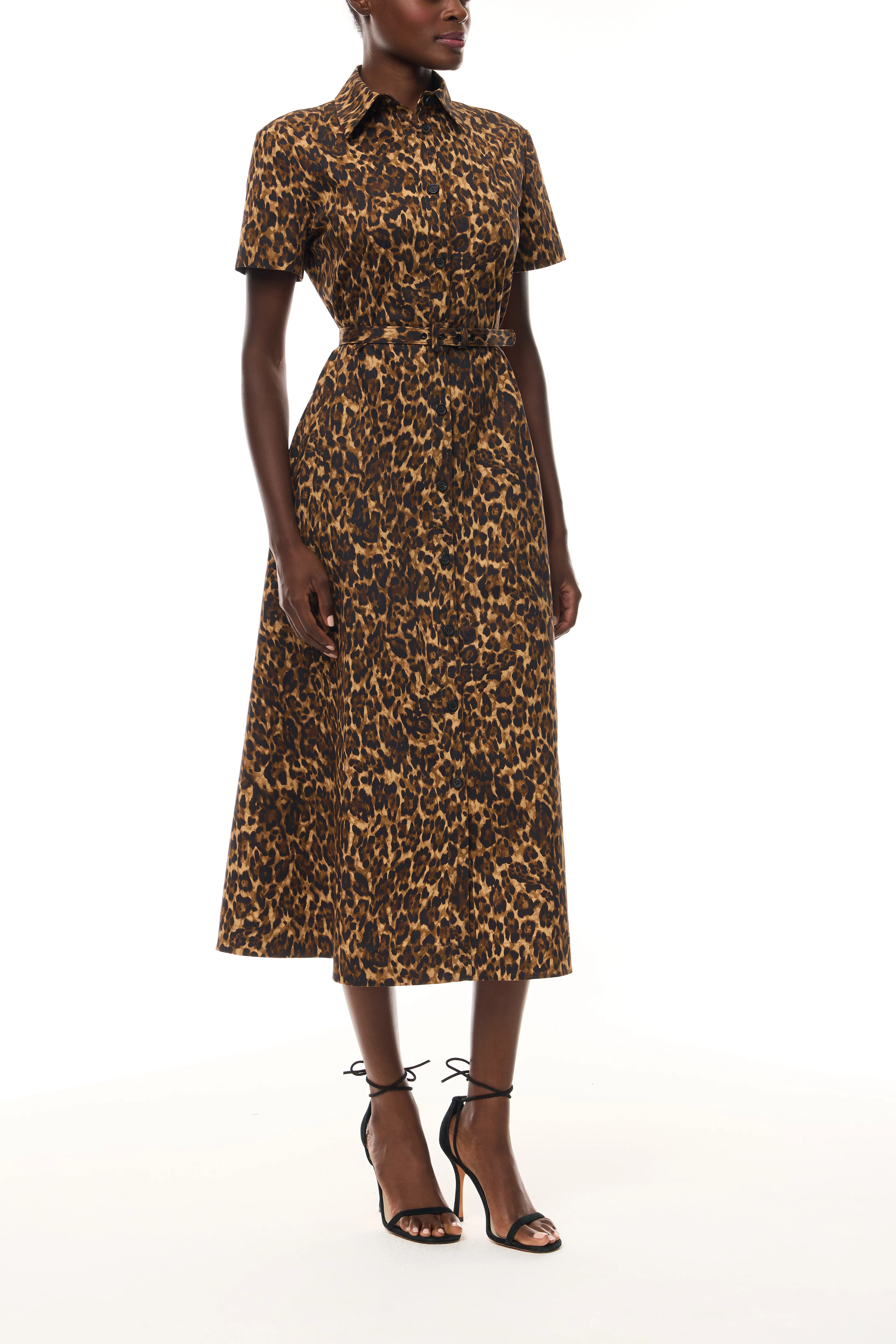 Leopard Poplin Shirt Dress - Image 5