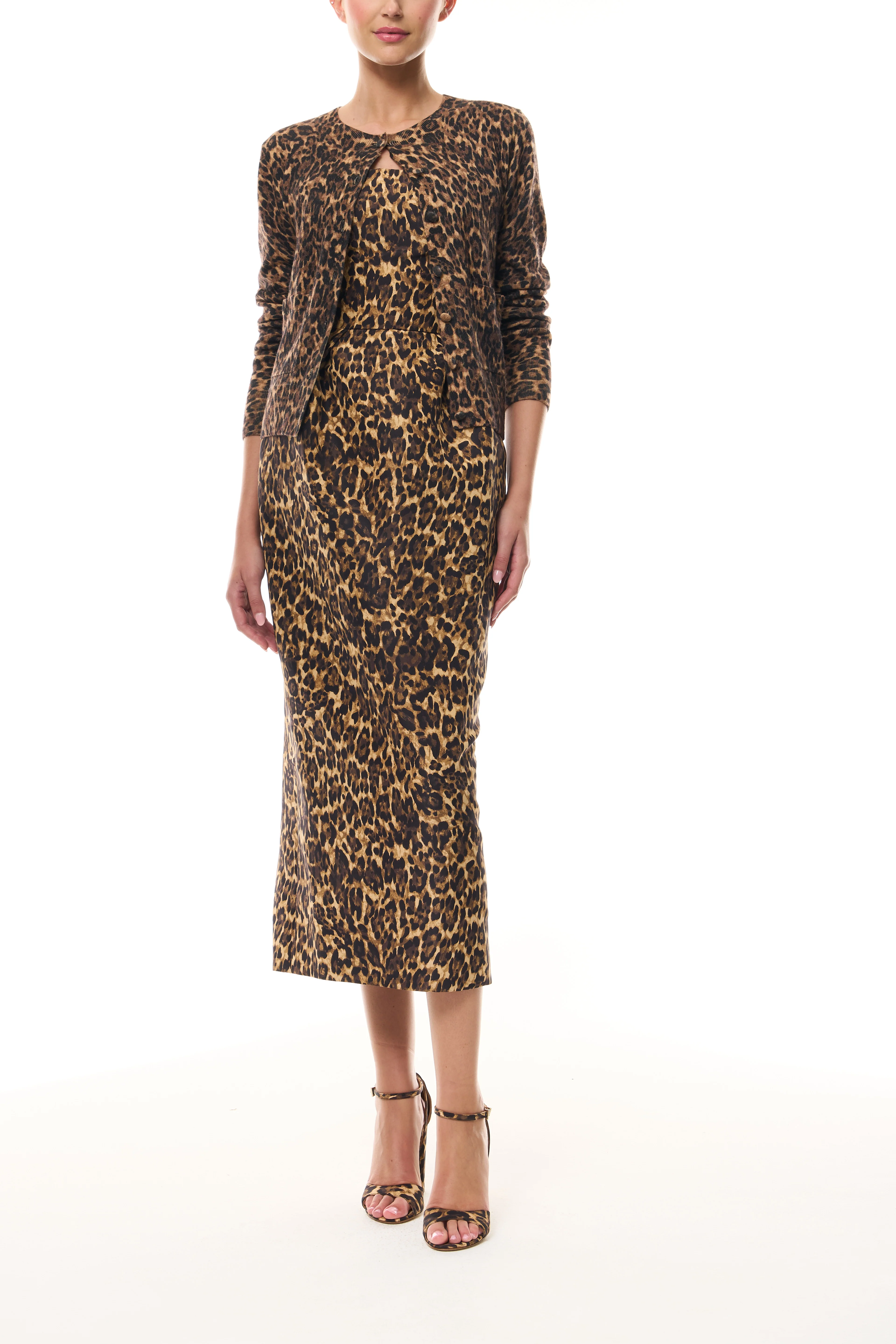 Leopard Printed Cocktail Dress - Image 4