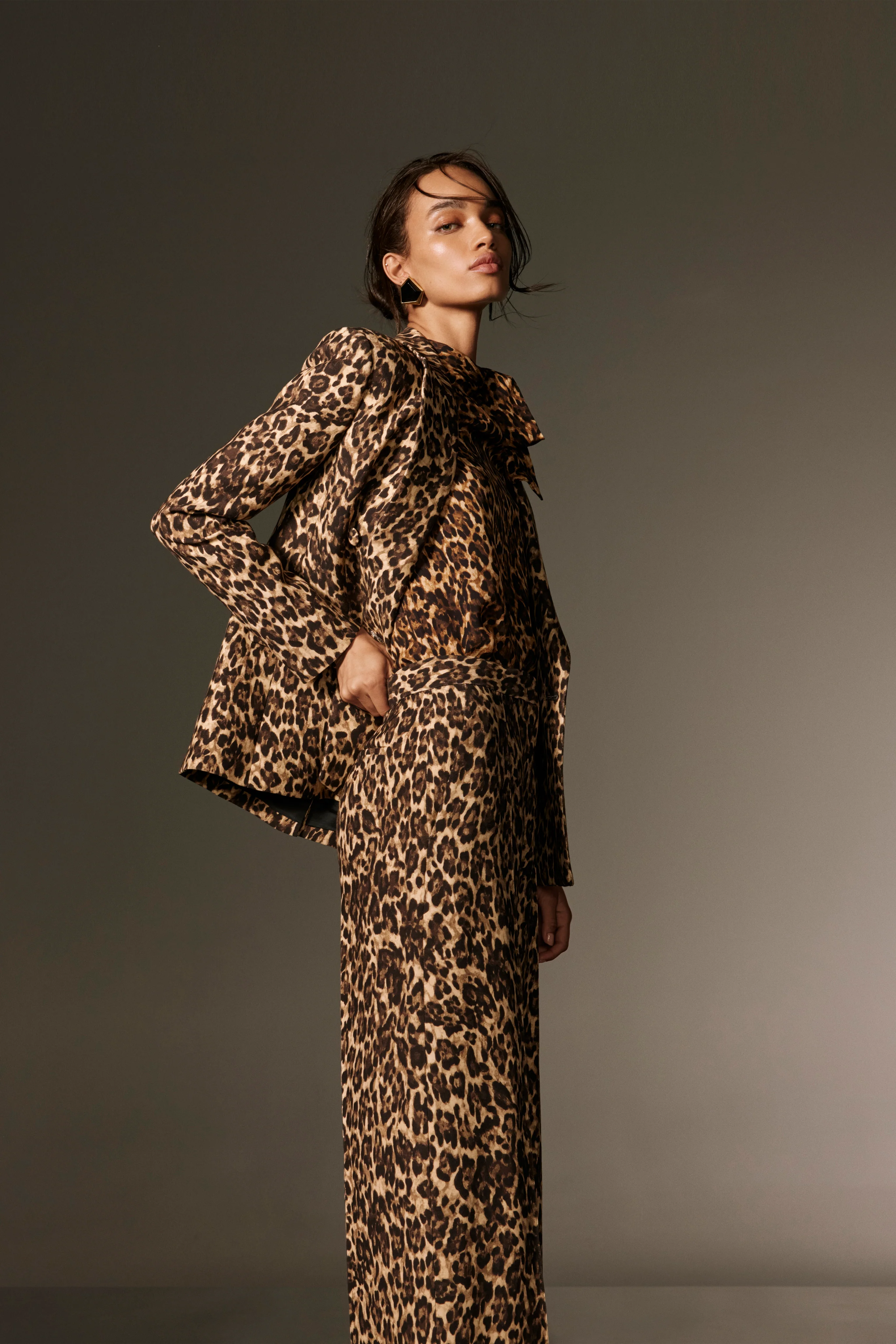 Leopard Scarf Neck Blouse - Image 2