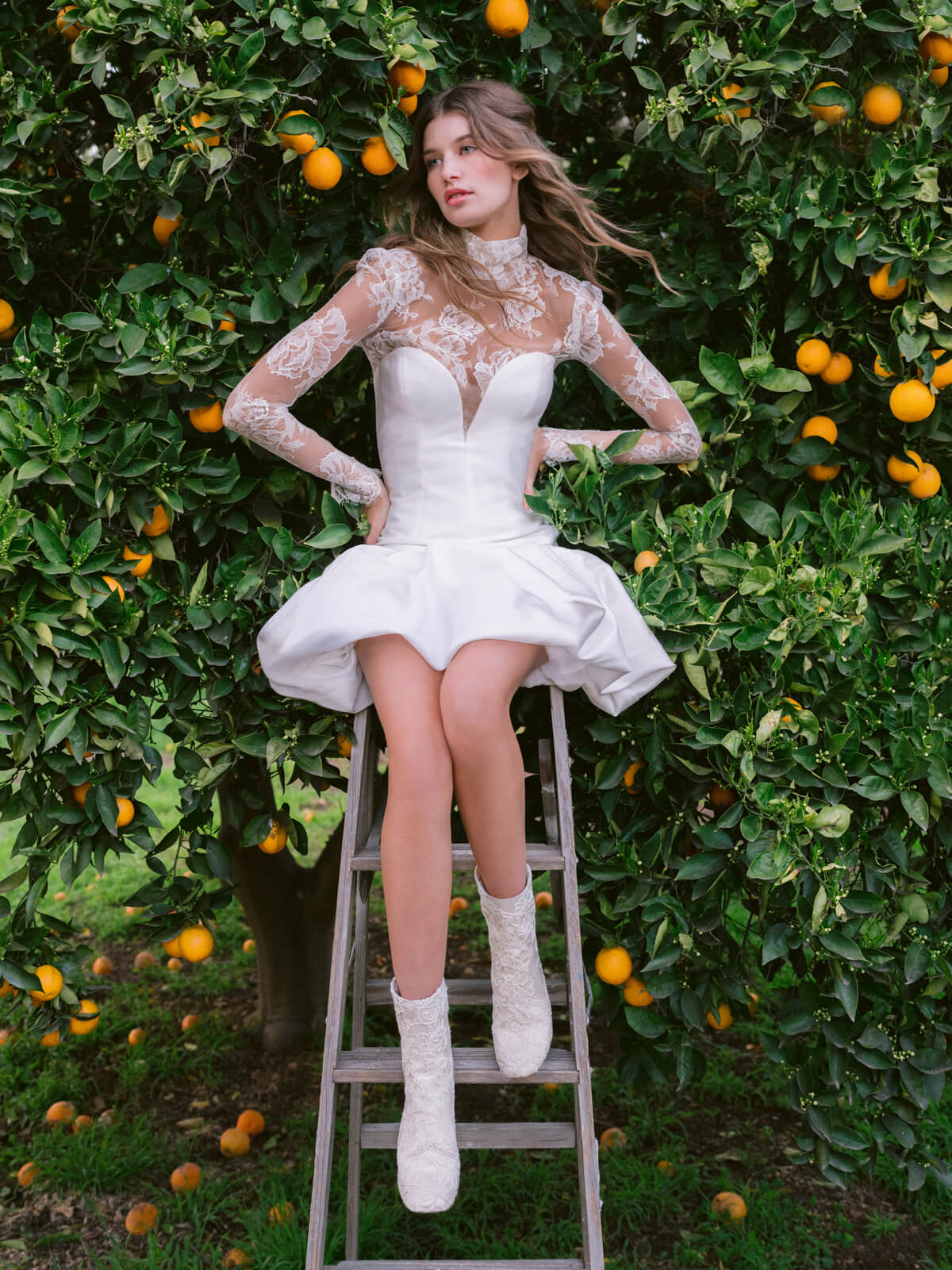 Tallulah Dress - Image 3